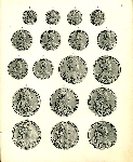 А. Ильин и гр. И. Толстой 1910 г. Русские монеты, чеканенные с 1725 по 1801 г.