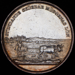 Медаль "Карл XIV. Сельскохозяйственная выставка" (Швеция)