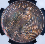 1 доллар 1921 (США) (в слабе) без букв