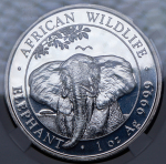 100 шиллингов 2021 "Африканский слон" (Сомали) (в слабе)