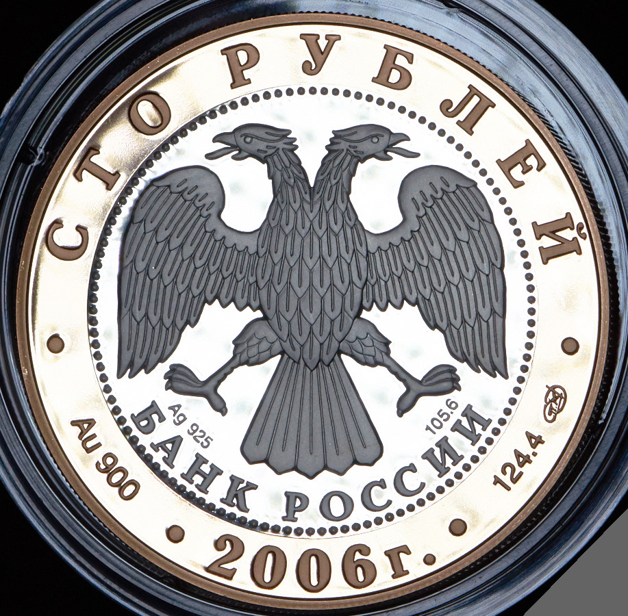 100 рублей 2006 