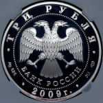 3 рубля 2009 "Воронеж: Покровский собор"  (в слабе) СПМД