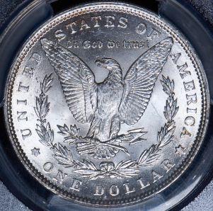 1 доллар 1890 (США) (в слабе) без букв