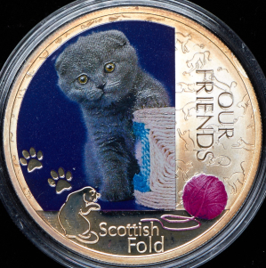 2 доллара 2012 "Шотландская вислоухая кошка" (Ниуэ) (в п/у)
