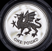 1 фунт 1995 "Валлийский дракон" (Великобритания)