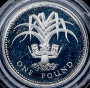 1 фунт 1985 (Великобритания)