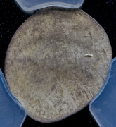 1 пфенниг 1788 (Нюрнберг) (в слабе)