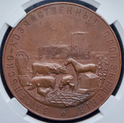 Медаль "Елисаветградское общество сельского хозяйства" (в слабе)