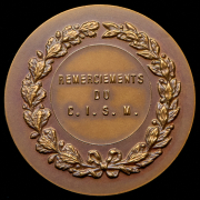 Медаль "Международный совет военного спорта"