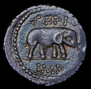 Денарий. Метелл Пий Сципион. Рим республика