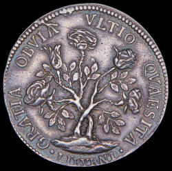 Розовая пьецца 1707 (Ливорно)