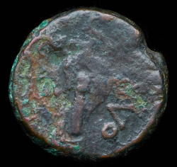 Тетрахалк. Ольвия