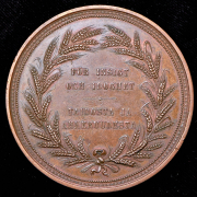 Медаль "Сельскохозяйственная выставка в Финляндии" 1870