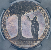 Гимназическая медаль (Берн)