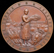 Медаль "10-я сельскохозяйственная выставка в Вазе" 1894