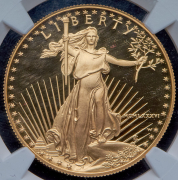 50 долларов 1986 "Семейство орлов" (США) (в слабе) W