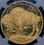 50 долларов 2009 "Буффало" (США) (в слабе) W