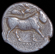 Дидрахма. Кампания. Город Неаполь