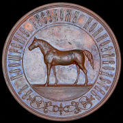 Медаль "Всероссийская конская выставка"