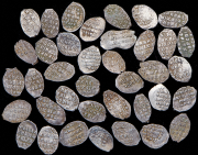 Набор из 28 сер. проволочных монет