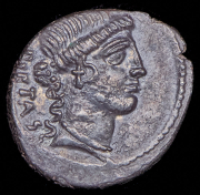 Денарий. Альбин Брути.Рим республика