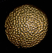 Пагода 1747-1784 (Голландская Индия)