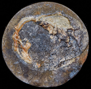 Полтина 1864 (односторонний оттиск)