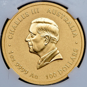 100 долларов 2025 "Год змеи" (Австралия) (в слабе) P