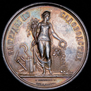 Медаль "Императорское российское общество садоводства в Санкт-Петербурге"