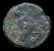 Тетрахалк. Ольвия