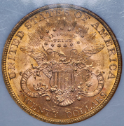 20 долларов 1894 (США) (в слабе)