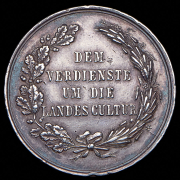 Медаль "За заслуги перед культурой страны" (Австрия)