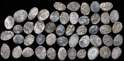 Набор из 48 сер. проволочных монет
