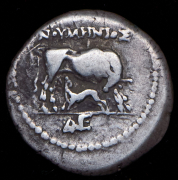 Драхма. Иллирия