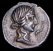 Денарий. Цецилий Метелл. Рим республика