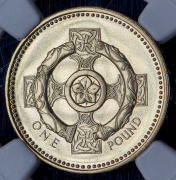 1 фунт 1996 (Великобритания) (в слабе)