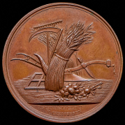 Медаль "Фюнское патриотическое общество" 1863-1906 (Дания)