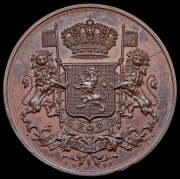 Медаль "В память проведения "Фестиваля флага" католической гильдии г. Алст" 1888 (Бельгия)