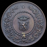 Медаль "XV федеральные торжества в Генте" 1883 (Бельгия)