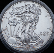 1 доллар 2013 (США)