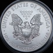 1 доллар 2013 (США)