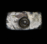 1 ланг 1802-1820 (Вьетнам)