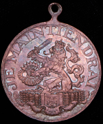 Медаль "Сбор средств жертвам Первой мировой войны" 1914 (Нидерланды)
