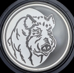 3 рубля 2007 "Сохраним наш мир: Кабан"