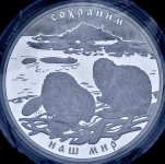 100 рублей 2008 "Сохраним наш мир: Бобер" СПМД