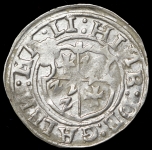 Ливонский орден. Магистр Генрих фон Гален. Фердинг 1555