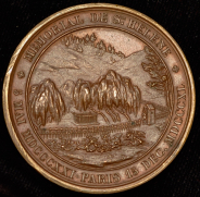 Медаль "Наполеон: Могила на Острове Св. Елены"