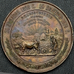 Медаль "Императорское общество сельского хозяйства южной России" 1878