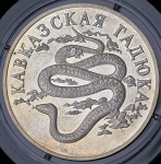 Рубль 1999 "Кавказская гадюка" СПМД