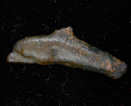 Дельфин. Ольвия